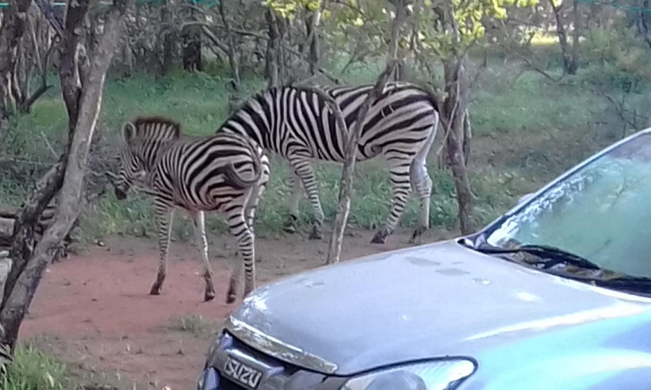 Nanisto Bush Lodge Marloth Park Exterior photo