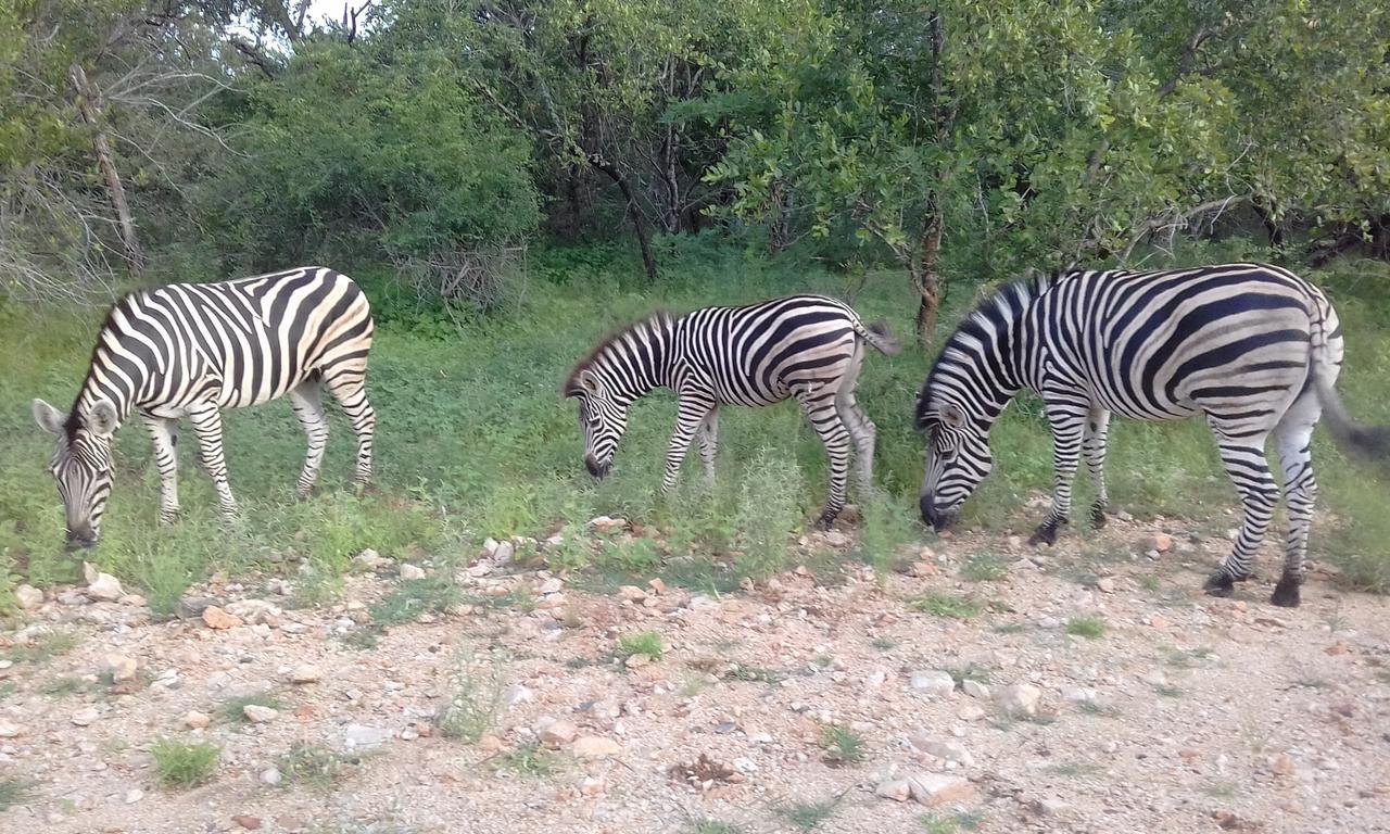 Nanisto Bush Lodge Marloth Park Exterior photo